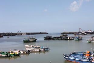 宁静港湾中的多彩船只