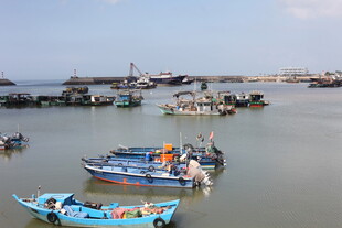 渔港停泊的多彩船只