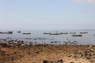 海边停泊多艘小船景象