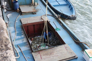 停靠岸边的简易木质小船