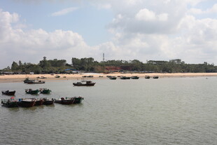 海滨停泊的众多船只