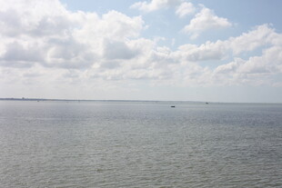 广阔海面与蓝天白云景象