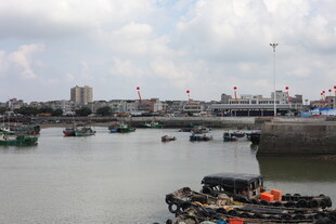 港口停泊的船只景象