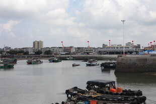 港口停泊的众多船只