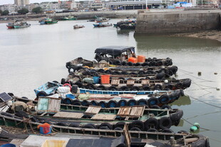 港口停泊的众多渔船