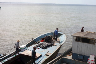 码头边停靠的船只与人