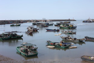 港湾中的众多渔船停泊景象