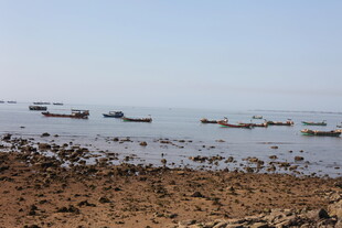 海边停泊的众多船只