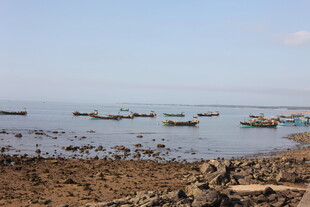 海边停泊的多艘小船