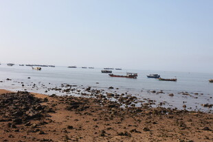 海边停泊的众多船只