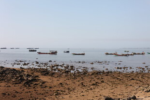 海边停泊的众多船只