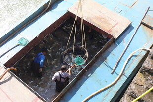 工人于船舱内进行作业