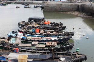 港口停泊的多彩渔船