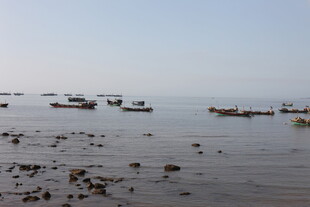 海边停泊的众多渔船