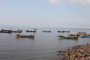 海边停泊的多艘渔船