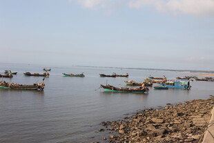 海边停泊的多彩渔船