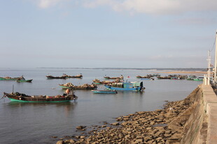 海边停靠着多艘渔船