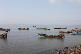 海边停泊的多彩渔船