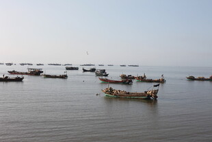 海上渔船群集景象