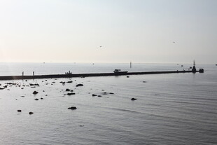 海边码头水面散布杂物