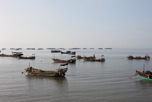 海上渔船群集景象