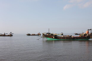 海上渔船景象