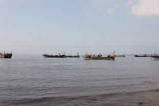 海边停泊的多艘船只