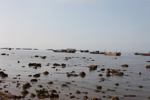 海边礁石滩景象