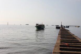 海边码头船只静泊景象