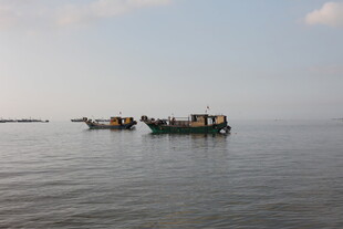 海上渔船停泊景象