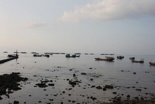 海边浅滩停泊的众多小船