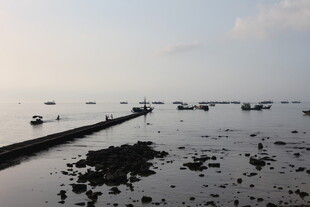 海边退潮时的滩涂景象