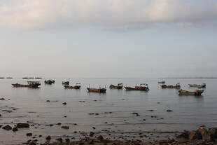 海边停泊的众多小船