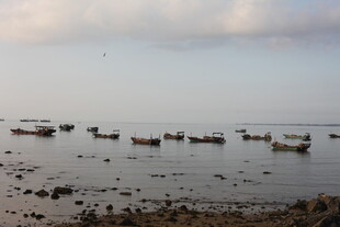 海边停泊的众多小船