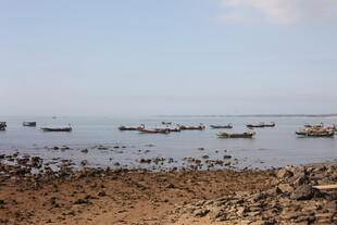 海边停泊的多艘小船