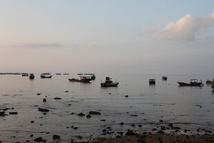 海边浅滩上的众多小船