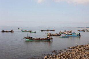 海边停泊的多艘渔船