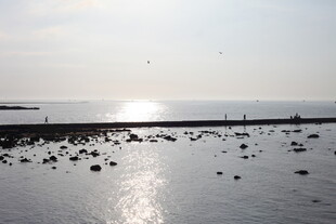 海边日出下的静谧滩涂