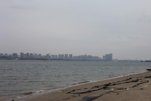 海滨城市的宁静海岸线