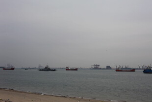 海边停泊的众多船只