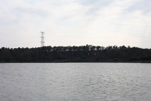 湖畔风光远处高塔隐于林