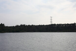 宁静湖畔的自然风光