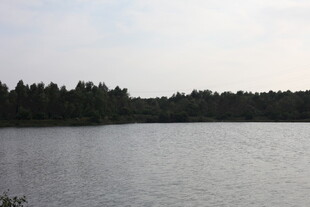 宁静湖畔的自然风光