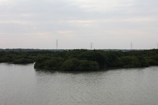 河畔绿意盎然的自然景致