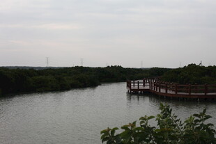 湖畔木栈道自然好风光