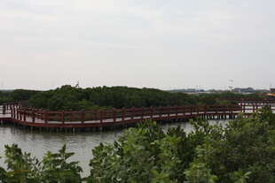 湖畔长廊绿意环绕美景