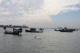 海上船只停泊景象