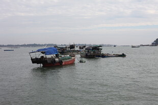 海上停泊的多艘船只