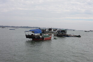 海上停泊的多艘作业船只