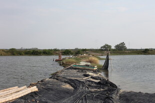 河边铺设的黑色防护网